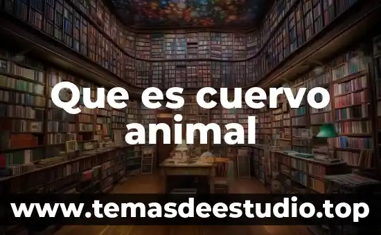 Qué es flamingo animal 3 Que es cuervo animal