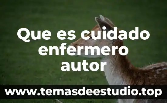 Número de pedimento que es 4 Que es cuidado enfermero autor