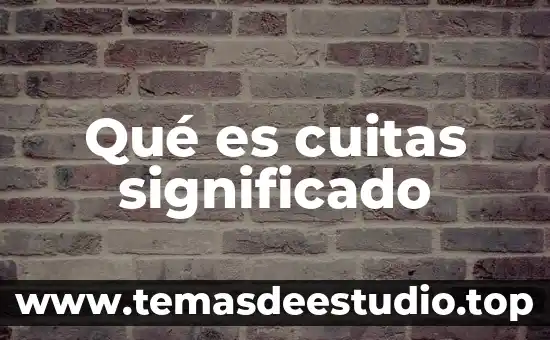 Que es halloween significado 6 Qué es cuitas significado