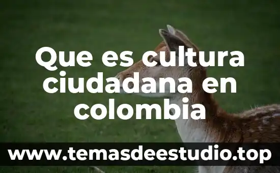 Que es la cultura y la tradicion 7 Que es cultura ciudadana en colombia