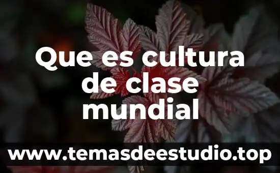 Que es cultura de clase mundial