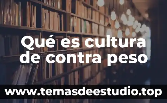 Que es la contra cultura segun villegas 8 Qué es cultura de contra peso