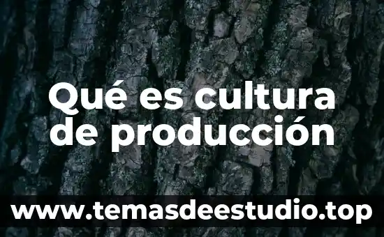 A que es cultura pertenece altotonga 6 Qué es cultura de producción