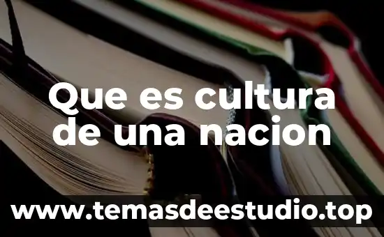 Que es cultura de una nacion
