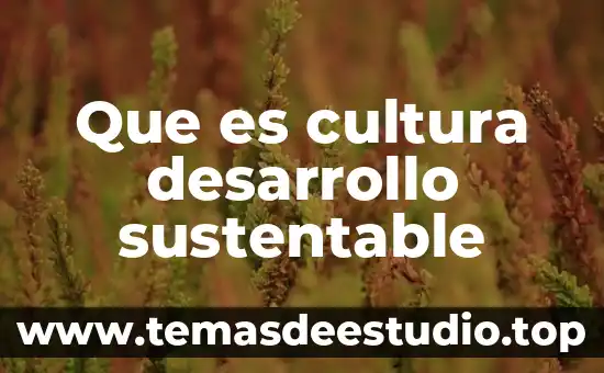 Que es desarrollo sustentable y sostenido 5 Que es cultura desarrollo sustentable