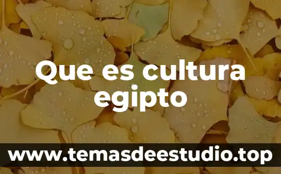 Qué es cultura y qué elementos la componen 3 Que es cultura egipto