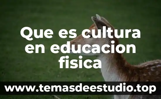 Que es umr en fisica 6 Que es cultura en educacion fisica
