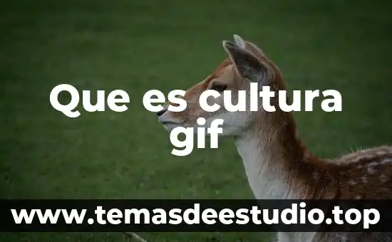 Que es cultura gif