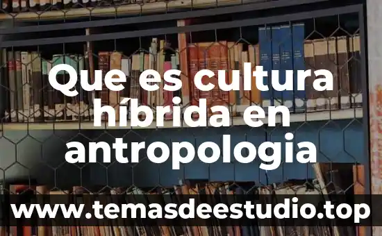 Que es cultura híbrida en antropologia