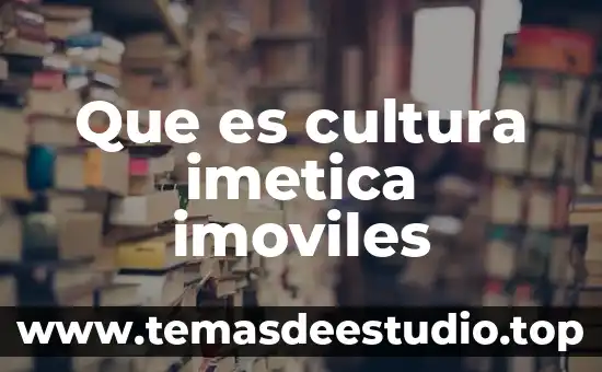Que es cultura imetica imoviles