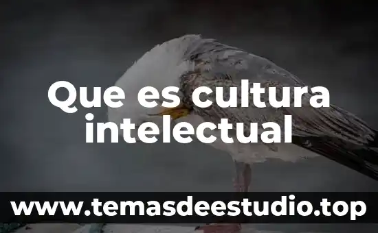 Que es cultura intelectual
