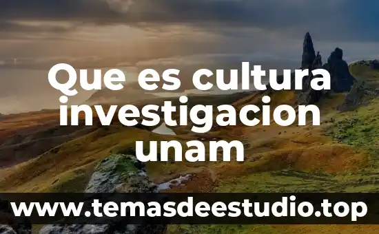 Que es embudo en analisis y diseno de sistemas 8 Que es cultura investigacion unam