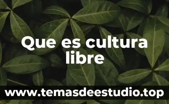 Que es cultura libre