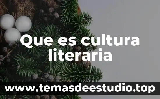 Qué es cultura y qué elementos la componen 8 Que es cultura literaria