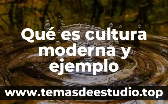 Que es escolaridad ejemplo 6 Qué es cultura moderna y ejemplo