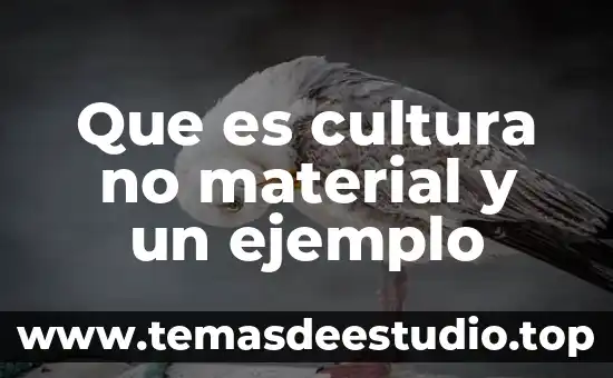 Qué es material educativo tipos y nombres 6 Que es cultura no material y un ejemplo