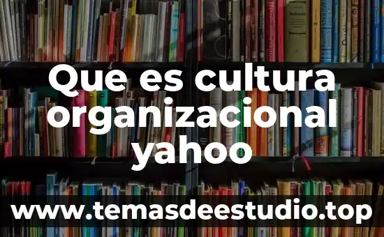 Qué es cultura y qué elementos la componen 6 Que es cultura organizacional yahoo