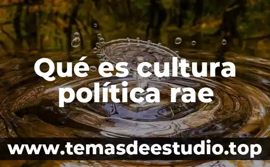 Qué es cultura política rae