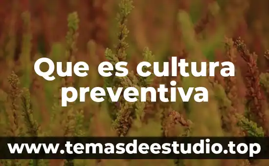 Que es cultura preventiva