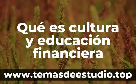 Que es el plan institucional de la secretaria de educación 8 Qué es cultura y educación financiera