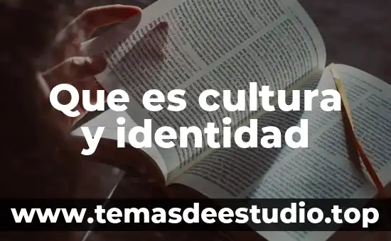 Que es cultura y identidad