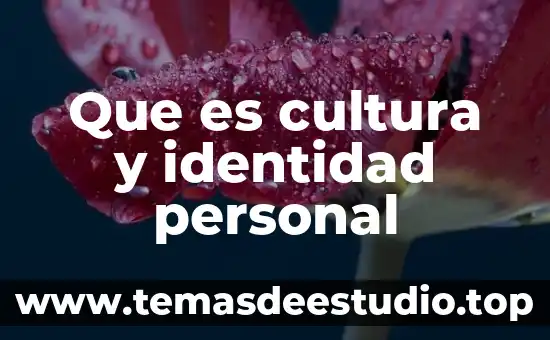 Que es la higiene personal baño diario 6 Que es cultura y identidad personal