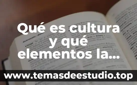 Que es la cultura tacita y explicita 8 Qué es cultura y qué elementos la componen