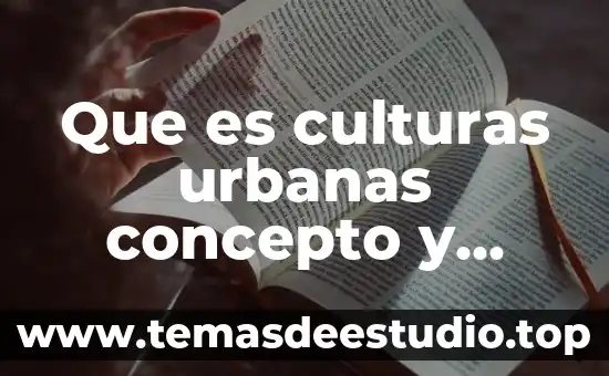 Que es culturas urbanas concepto y definicion