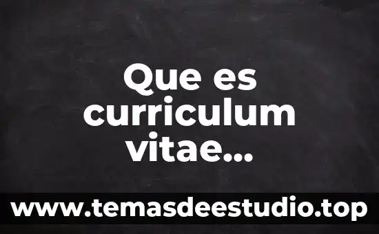 Que es estructura rigida inexistente 4 Que es curriculum vitae estructura
