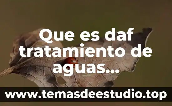 Qué es una planta tratadora de aguas negras o residuales 3 Que es daf tratamiento de aguas residuales