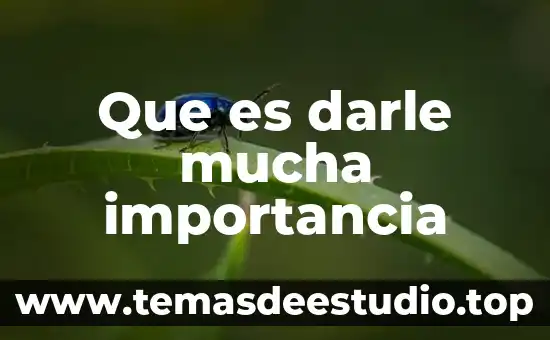 Que es el autoestima importancia 6 Que es darle mucha importancia
