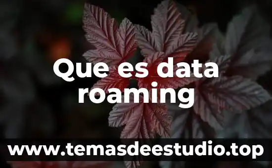 Que es android data en el celular 3 Que es data roaming