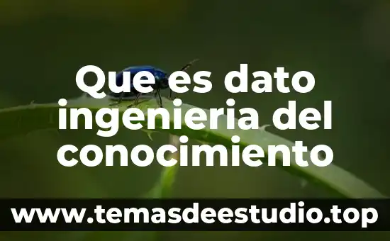 Que es una planta ingenieria 3 Que es dato ingenieria del conocimiento