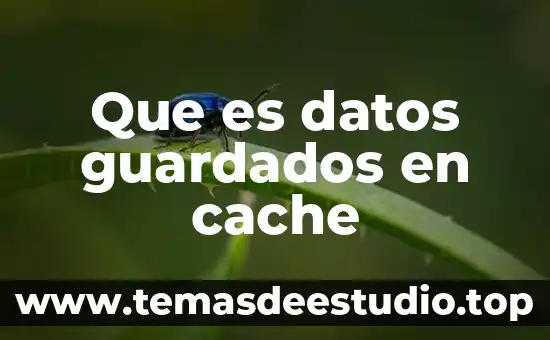 Que es datos guardados en cache