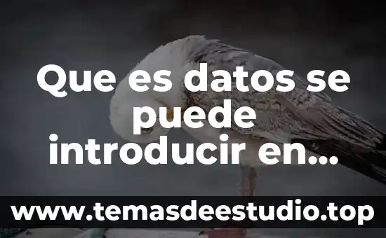 En excel que es una celda activa 7 Que es datos se puede introducir en una celda