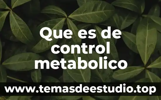 Qué es un ambiente confuso 7 Que es de control metabolico