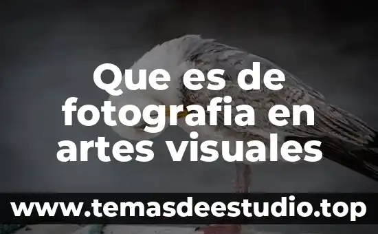 Que es el color ddefinicion artes visuales 7 Que es de fotografia en artes visuales