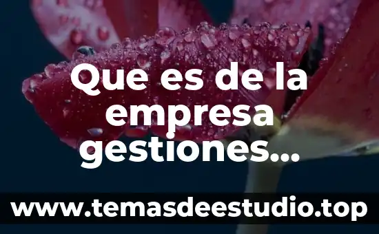 Que es una empresa e importancia 6 Que es de la empresa gestiones empresariales de sonora hermosillo