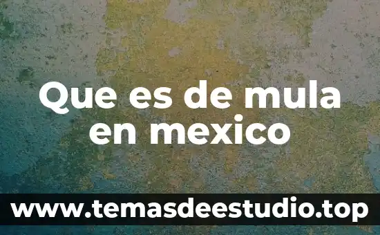 Que es lmesm en mexico 8 Que es de mula en mexico