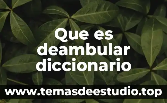 Que es significa inah en el diccionario 7 Que es deambular diccionario