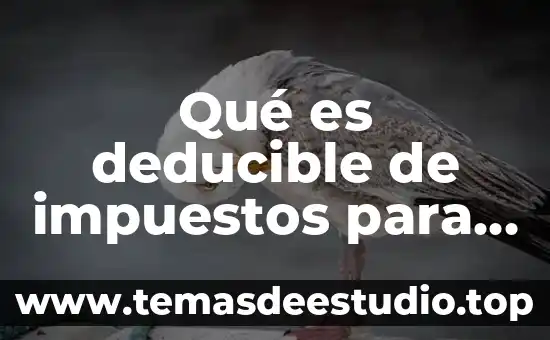 Firmas de personas fisicas que es 6 Qué es deducible de impuestos para personas físicas 2017