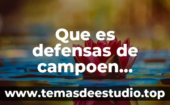 Que es defensas de campoen voleibol