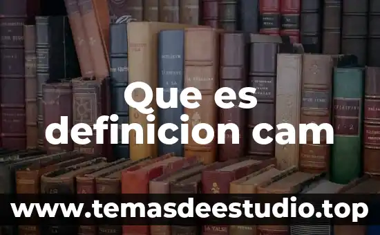 Que es el autismo definicion 3 Que es definicion cam