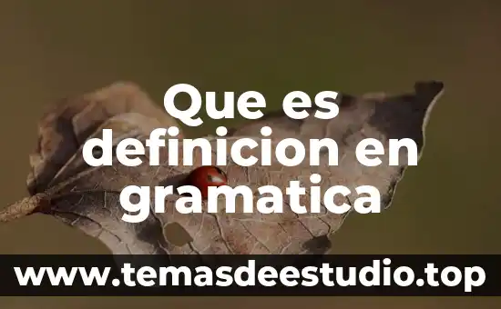 Qué es ácido definición y características 4 Que es definicion en gramatica
