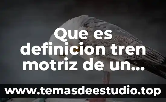 Que es definicion tren motriz de un camion