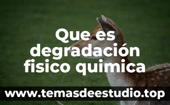 Que es degradación fisico quimica