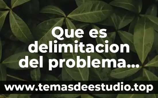 Qué es delimitación del tema en metodología de la investigación 6 Que es delimitacion del problema en una investigacion
