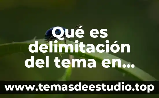 Que es la delimitacion en un proyecto de investigacion 8 Qué es delimitación del tema en metodología de la investigación