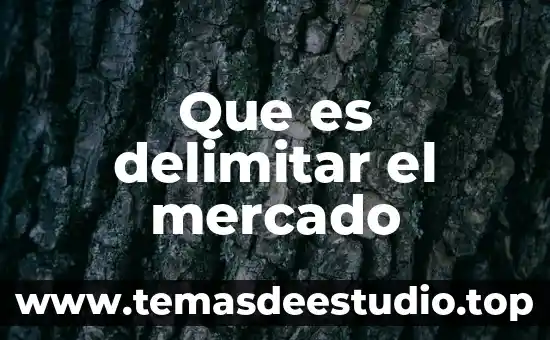 Que es el mercado i 4 Que es delimitar el mercado