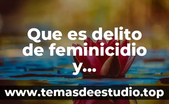 Que es delito de feminicidio y características para serlo